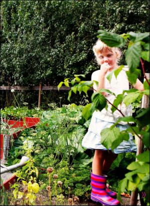 aftonbladet_hh-20150425_000_00_00_045.pdf