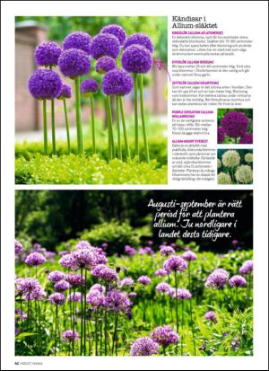 aftonbladet_hh-20150808_000_00_00_062.pdf