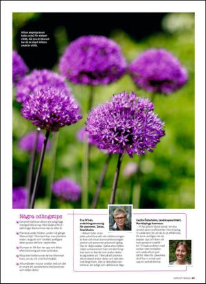 aftonbladet_hh-20150808_000_00_00_063.pdf