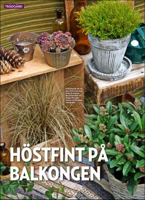 aftonbladet_hh-20151003_000_00_00_060.pdf