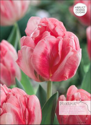 aftonbladet_hh-20160123_000_00_00_061.pdf