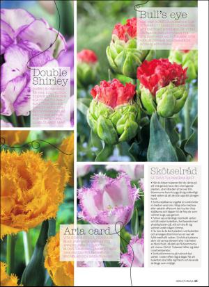 aftonbladet_hh-20160123_000_00_00_063.pdf