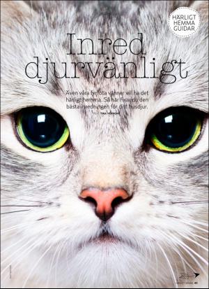 aftonbladet_hh-20160220_000_00_00_045.pdf