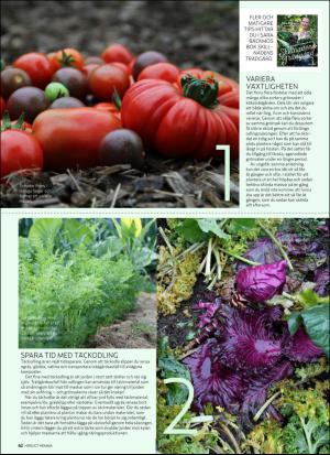 aftonbladet_hh-20160305_000_00_00_062.pdf