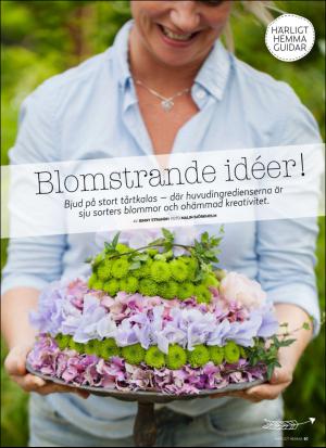 aftonbladet_hh-20160416_000_00_00_061.pdf