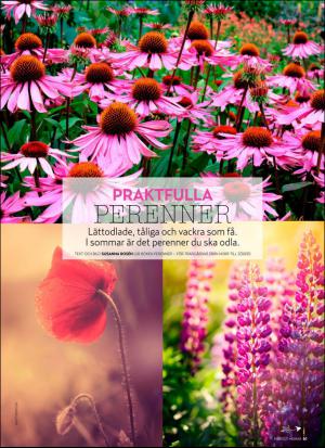 aftonbladet_hh-20160514_000_00_00_061.pdf