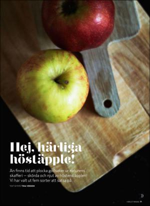 aftonbladet_hh-20160917_000_00_00_071.pdf