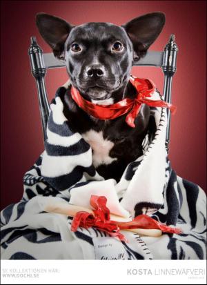 aftonbladet_hh-20161029_000_00_00_042.pdf