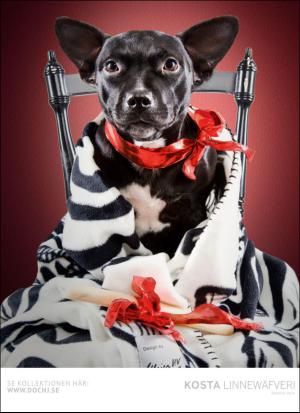 aftonbladet_hh-20161222_000_00_00_052.pdf