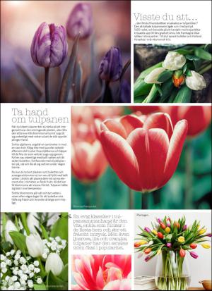 aftonbladet_hh-20170121_000_00_00_064.pdf