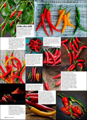 aftonbladet_hh-20170204_000_00_00_064.pdf