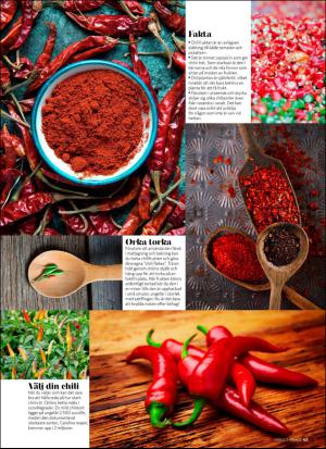 aftonbladet_hh-20170204_000_00_00_065.pdf