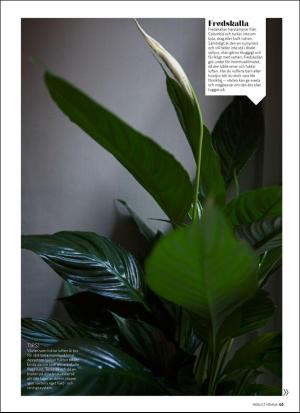 aftonbladet_hh-20170218_000_00_00_063.pdf