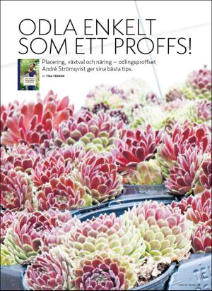 aftonbladet_hh-20170318_000_00_00_057.pdf