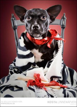 aftonbladet_hh-20170318_000_00_00_060.pdf