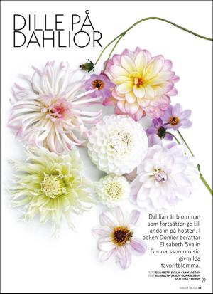 aftonbladet_hh-20170429_000_00_00_063.pdf