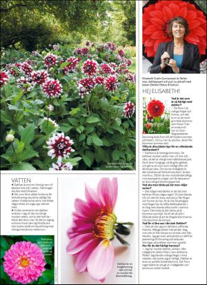 aftonbladet_hh-20170429_000_00_00_064.pdf