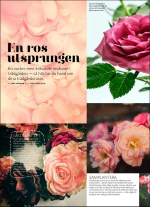 aftonbladet_hh-20170610_000_00_00_062.pdf