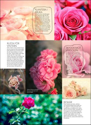 aftonbladet_hh-20170610_000_00_00_064.pdf