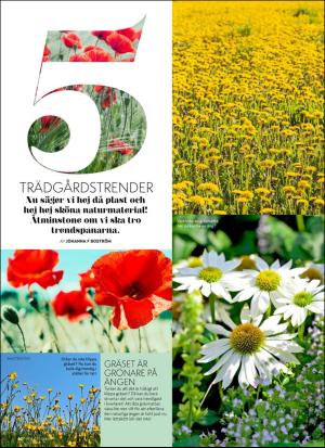 aftonbladet_hh-20170722_000_00_00_062.pdf