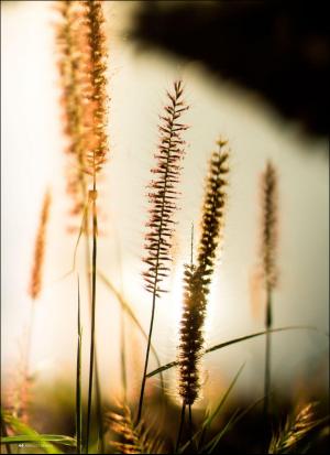 aftonbladet_hh-20170819_000_00_00_044.pdf