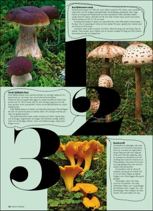 aftonbladet_hh-20170819_000_00_00_062.pdf