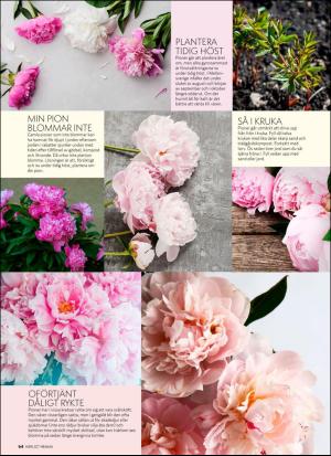 aftonbladet_hh-20170902_000_00_00_064.pdf