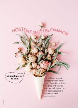 aftonbladet_hh-20170930_000_00_00_063.pdf