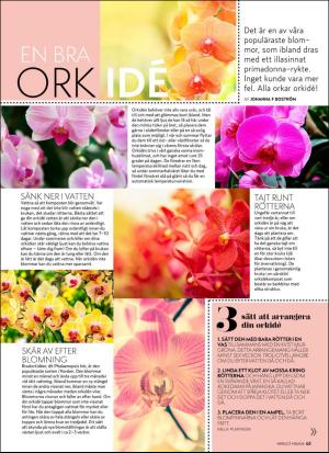 aftonbladet_hh-20171014_000_00_00_063.pdf