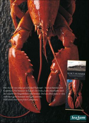 aftonbladet_hh-20171223_000_00_00_071.pdf