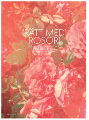 aftonbladet_hh-20180203_000_00_00_062.pdf