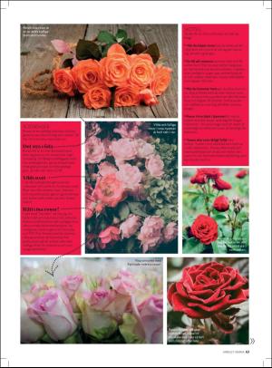 aftonbladet_hh-20180203_000_00_00_063.pdf