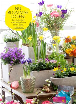 aftonbladet_hh-20180313_000_00_00_076.pdf