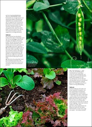 aftonbladet_hh-20180414_000_00_00_062.pdf