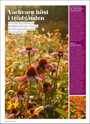 aftonbladet_hh-20180825_000_00_00_064.pdf