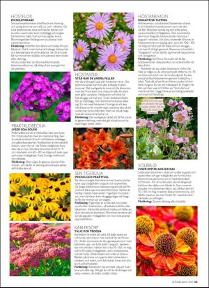 aftonbladet_hh-20180825_000_00_00_065.pdf