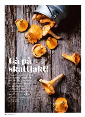 aftonbladet_hh-20180825_000_00_00_066.pdf