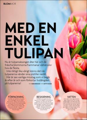 aftonbladet_hh-20190216_000_00_00_034.pdf