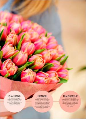 aftonbladet_hh-20190216_000_00_00_035.pdf