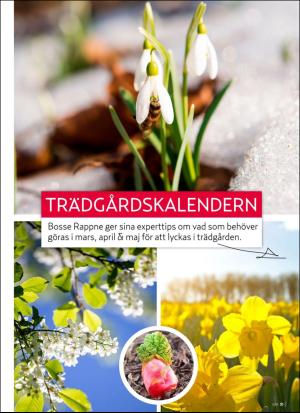 aftonbladet_hh-20190305_000_00_00_051.pdf