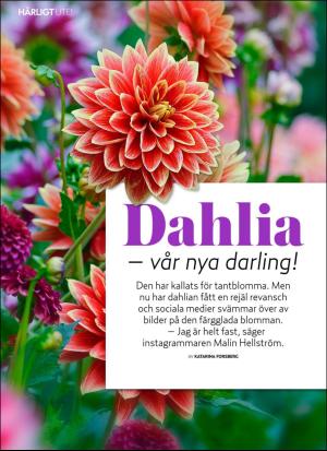 aftonbladet_hh-20190330_000_00_00_044.pdf