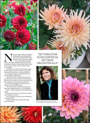 aftonbladet_hh-20190330_000_00_00_045.pdf