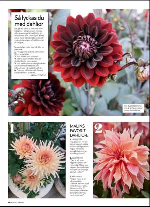 aftonbladet_hh-20190330_000_00_00_046.pdf