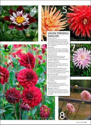 aftonbladet_hh-20190330_000_00_00_049.pdf