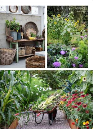 aftonbladet_hh-20190413_000_00_00_057.pdf