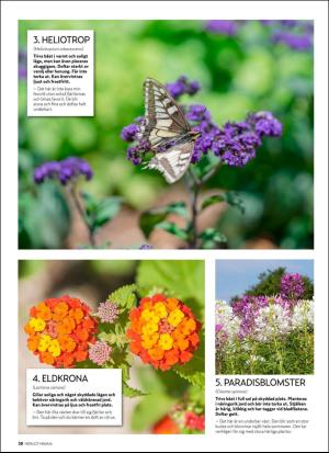 aftonbladet_hh-20190607_000_00_00_038.pdf