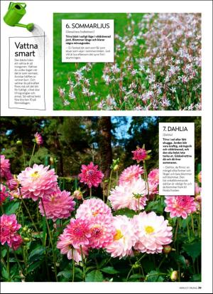 aftonbladet_hh-20190607_000_00_00_039.pdf