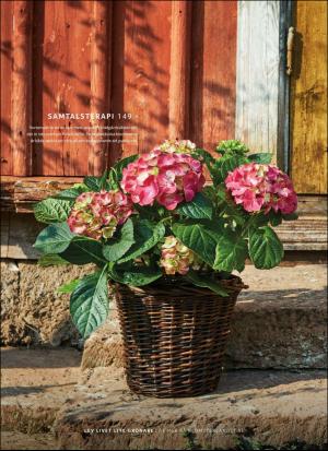 aftonbladet_hh-20190618_000_00_00_004.pdf