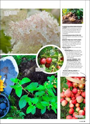 aftonbladet_hh-20190618_000_00_00_029.pdf