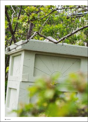 aftonbladet_hh-20190618_000_00_00_052.pdf